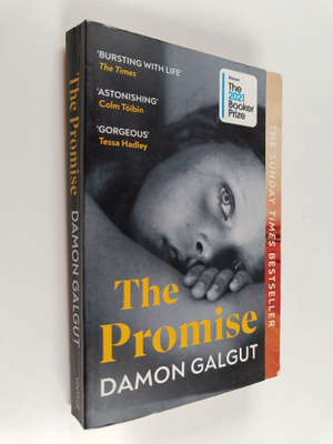 Damon Galgut : The promise