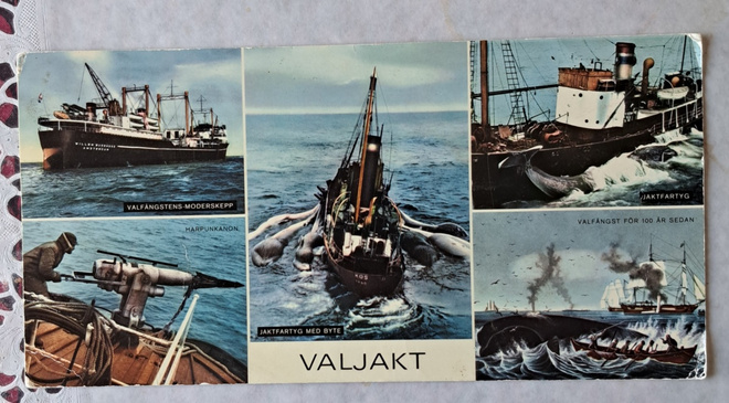 Valjakt Jonas-valaanpyyntialus, 5 kuvaa, kulkematon