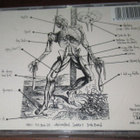 Creaming Jesus-Goilt byAssociation cd ulkomainen rock v.1992 - pikkukuva 2