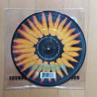SOUNDGARDEN : Black Hole Sun 7" (Kuvalevy) - pikkukuva 3