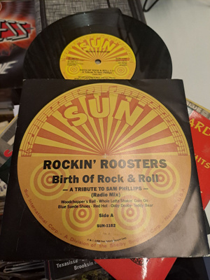 Sun Rockin Roosters