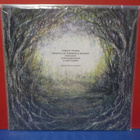 TETRASIGIL - FOREST STORM UUSI FIN 2023 + INSERT LP - pikkukuva 2
