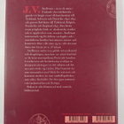 Johan Wilhelm Snellman : J.V. Snellman i Europa - pikkukuva 2