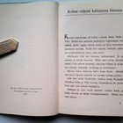 Lintumaa Kaija: Prinsessa Virsujalka, v. 1954 - pikkukuva 4
