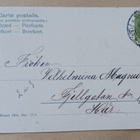 Nuori leidi kansanpuvussa menossa onnittelemaan, p. 1904 - pikkukuva 2