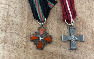 Harvinaisten muistoristien miniatyyrit