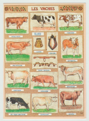 Cartes d`Art / Louise Deletang : Les Vaches (R)