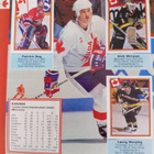 Jääkiekko keräilysarja 1993 täysi albumi 288 tarraa - pikkukuva 4
