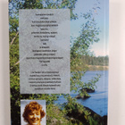 Liisa Paasikari-Salo : Silta luodolta lukaaliin - pikkukuva 2