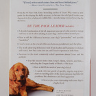 Melissa Jo Peltier ym. : Be the Pack Leader - Use Cesar's... - pikkukuva 2