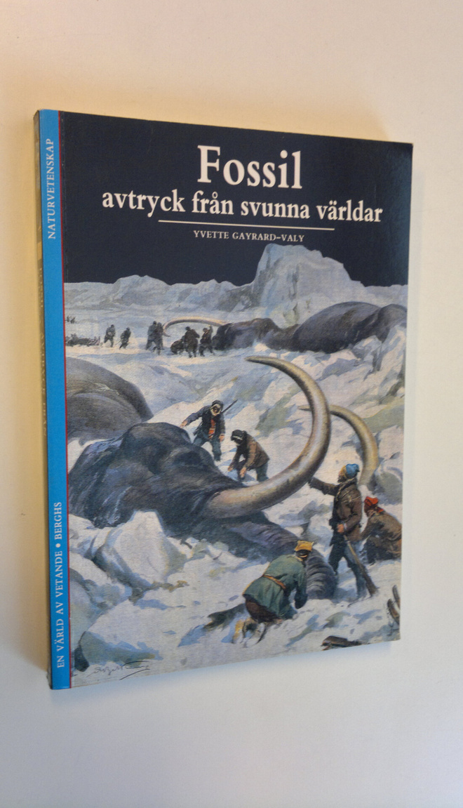Yvette Gayrard-Valy : Fossil avtryck från svunna världar