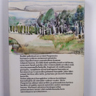 Norah Lofts : Tie huomiseen - pikkukuva 2