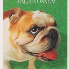 ONNITTELU POSTIKORTTI  - HALLMARK/ PALETTI - pikkukuva 1