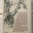 Edgar Rice Burroughs - Apinoiden Tarzan (sid.) - pikkukuva 2