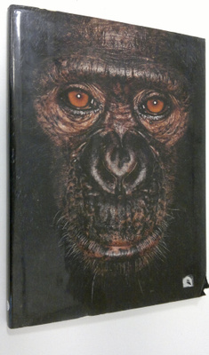 by James Mollison : James & other apes