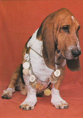 BASSET POSTIKORTTI