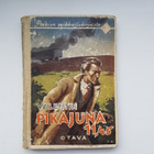 Pikajuna 11,45 - pikkukuva 1