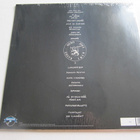 Ne Luumäet - Ne Luumäet LP Vinyyli UUSI Ramones Kelmussa - pikkukuva 2