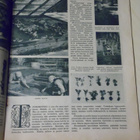 Kodin puutarhuri, kotilieden liite n:o 4 / 1936 - pikkukuva 2
