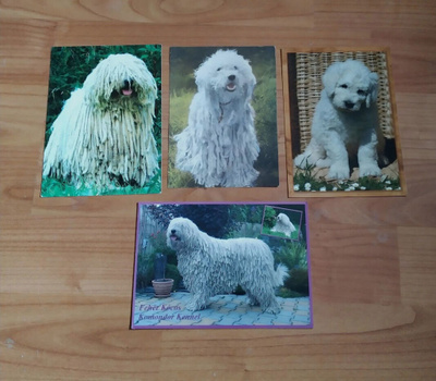 4 KOMONDOR POSTIKORTTIA