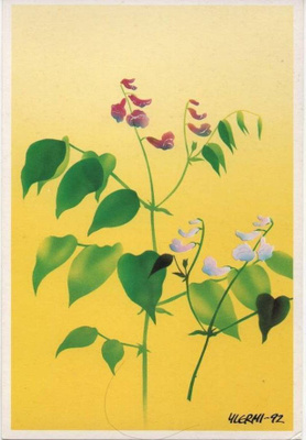 kortti ** Kukka tyylitellen - erilaisia taidekortteja