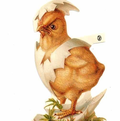 PÄÄSIÄINEN / Kuoriutuva tipu kuoret harteillaan.