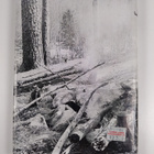 Jaakko Kajula : Suurten selkosten kulkija - pikkukuva 2