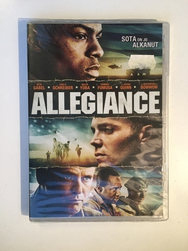 Allegiance (DVD) Aidan Quinn, Seth Gabel [2014] UUSI