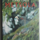 Jorma Luhta: Metsola - pikkukuva 1