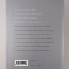 Ilkka Pyysiäinen : Jumalan selitys : jumala kognitiivisen... - pikkukuva 2