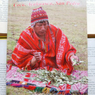 Andean-Amazonian Shamanism (softcover) - pikkukuva 1