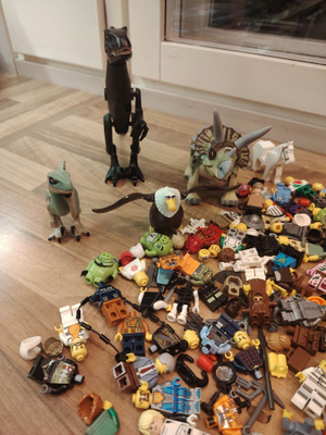 LEGOJA 21KG