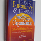 Gifford Pinchot : The end of bureaucracy and the rise of ... - pikkukuva 1