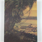 Stephen John Edwards : Zambezi Odyssey : A Record of Adve... - pikkukuva 2