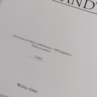 Christopher Wright : Rembrandt (numeroitu) - pikkukuva 3