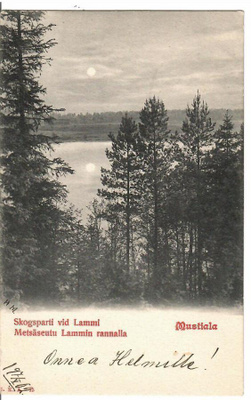 MUSTIALA KUUTAMO KULKENUT -02