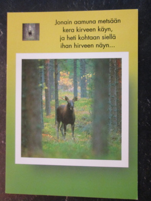 KULKEMATON HIRVI METSÄSSÄ MARKKU WIIK