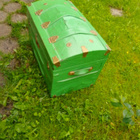 Arkku Puinen 1800 luku - pikkukuva 3