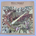 LP  Pekka Pohjola - Skuggornas Tjuvstart. - pikkukuva 1
