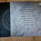 Whitesnake: Slip Of The Tongue Lp - pikkukuva 2