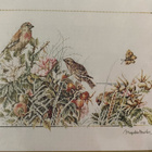 Birds and Rosehips (Lanarte) ristipistopakkaus - pikkukuva 2