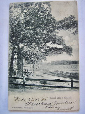 VANHA Postikortti Turku Ruissalo 1905