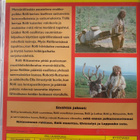 Rölli ja kevätlaulu DVD - pikkukuva 2