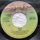 Skyy – High / Skyy Zoo 7" single ITALY - pikkukuva 2