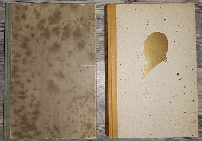 V. A. Koskenniemi: Nuori Goethe + Goethe