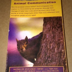 BABY ANIMALS BABY TALK VHS PUHUTTU SUOMEKSI - pikkukuva 2