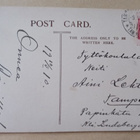 Koirat päivänvarjon alla, mv valokuvapk, p. 1910 - pikkukuva 2