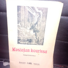 Stein Riverton : Kostajan kourissa ( 1919 ) SIS POSTIKULU - pikkukuva 1