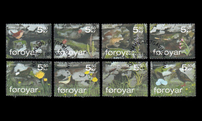 Fär-saaret 615-22 o Kivimuurin eliöstöä, lintuja (2007)