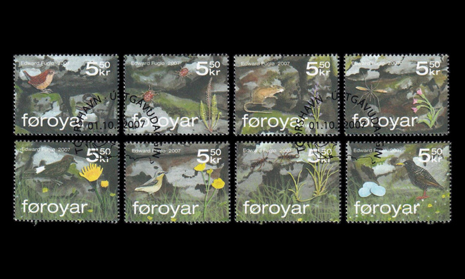 Fär-saaret 615-22 o Kivimuurin eliöstöä, lintuja (2007)